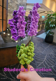 Private Crochet Class