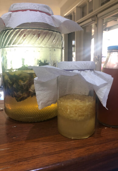 Probiotic Drink Making Workshop