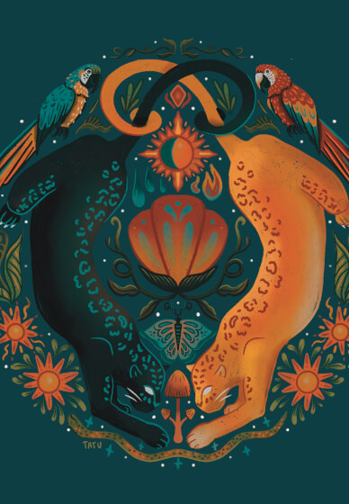 Procreate for Beginners Workshop