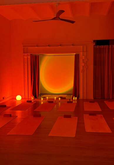 Puppy Meditation Class - Night Edition