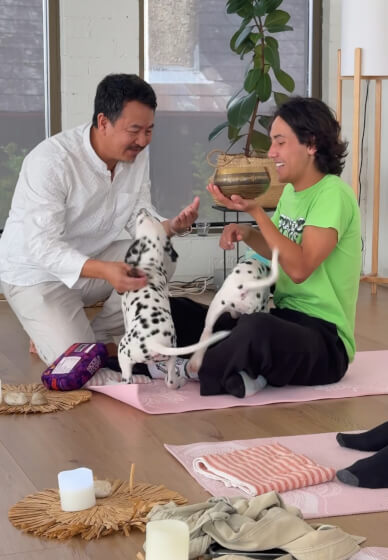 Puppy Meditation Class - Night Edition