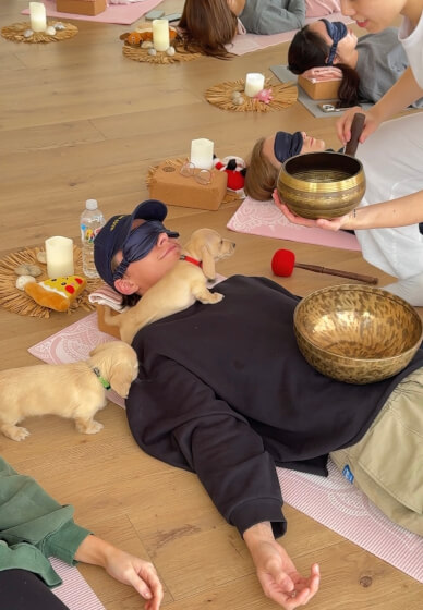 Puppy Meditation Class - Night Edition