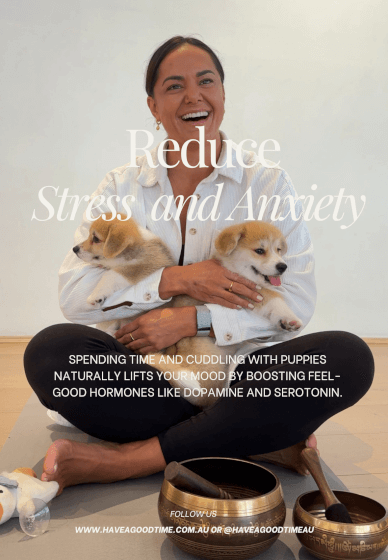 Puppy Meditation Class: Relax and Recharge with Puppies