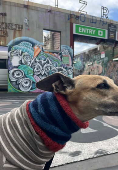 Continental Knitting for Beginners Workshop