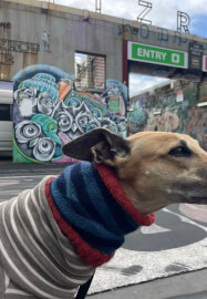 Continental Knitting for Beginners Workshop