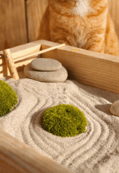 Purr Garden X Rescue Kittens DIY Mini Zen Garden Class