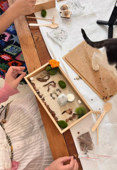 Purr Garden X Rescue Kittens DIY Mini Zen Garden Class