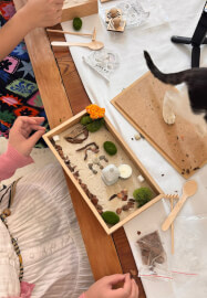 Purr Garden X Rescue Kittens DIY Mini Zen Garden Class