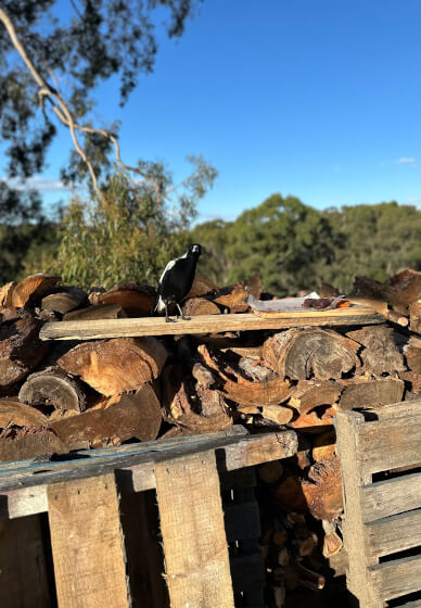 Raku Firing Pottery Workshop