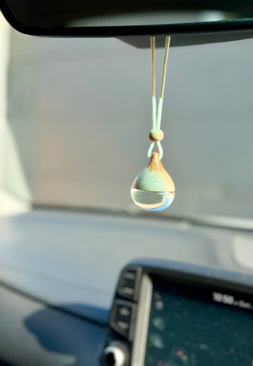 Reed and Car Diffuser Workshop