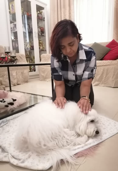 Reiki Energy Healing Training: Levels 1 and 2