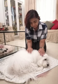 Reiki Energy Healing Training: Levels 1 and 2