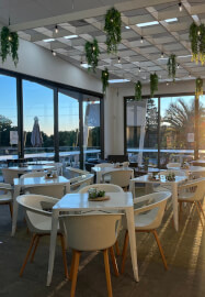 Rise and Shine Gentle Yoga Class at Schmoffee