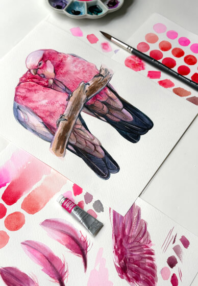 Romance in Pink: Watercolour Painting Galahs