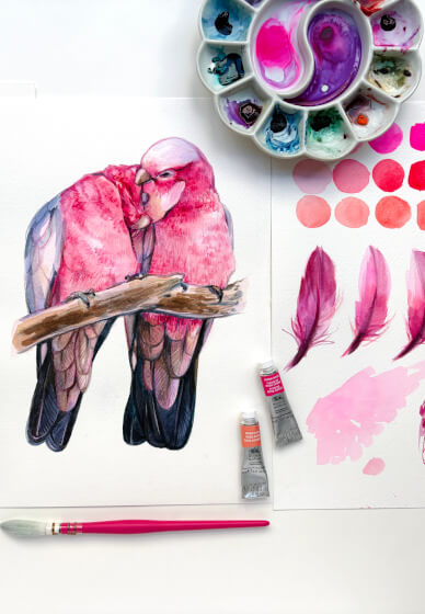 Romance in Pink: Watercolour Painting Galahs