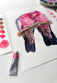 Romance in Pink: Watercolour Painting Galahs