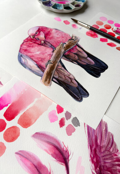 Romance in Pink: Watercolour Painting Galahs