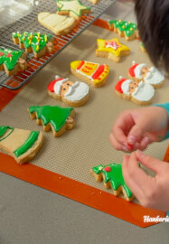 Royal Icing Cookie Decorating Class — Sydney