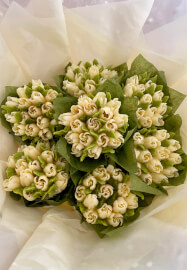 Russian Tips Cupcake Piping Workshop