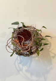 Sculptural Random Weave Basketry Workshop