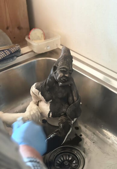 Sculpturing Course (Group Sessions)