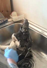 Sculpturing Course (Group Sessions)