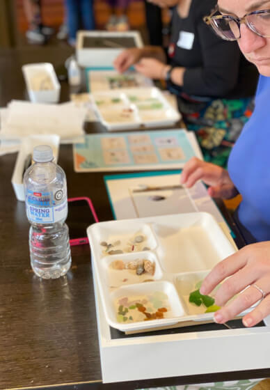 Sea Glass Scene Artwork Workshop