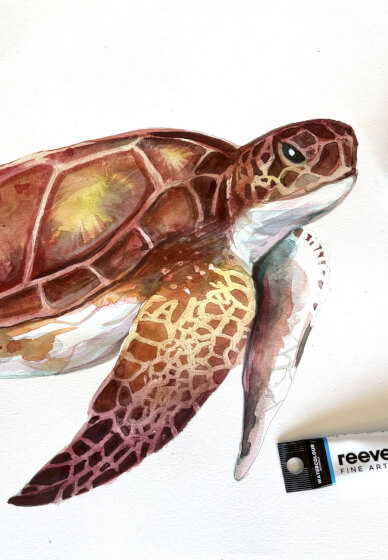 Sea Turtle Watercolour Painting Class