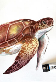 Sea Turtle Watercolour Painting Class