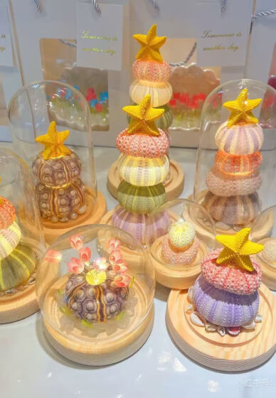 Sea Urchin Night Light Class