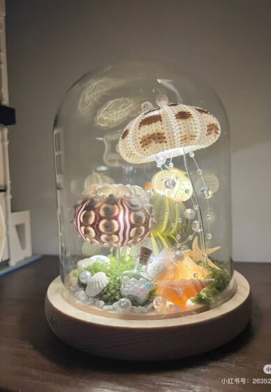 Sea Urchin Night Light Class