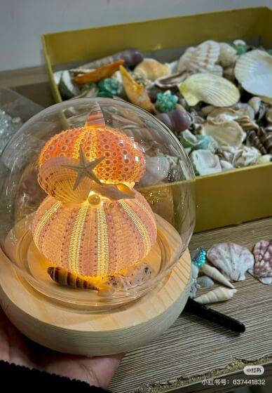 Sea Urchin Night Light Class