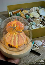 Sea Urchin Night Light Class