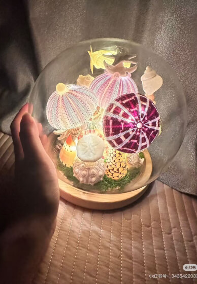 Sea Urchin Night Light Class