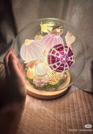Sea Urchin Night Light Class