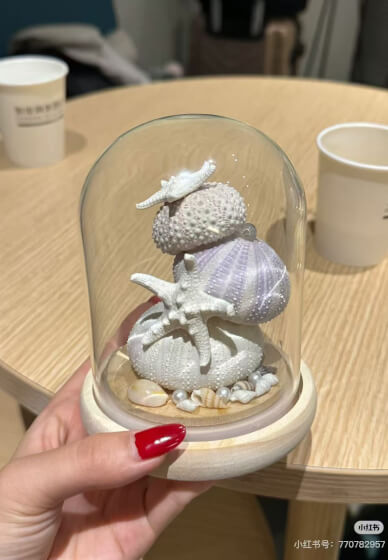 Sea Urchin Night Light Class