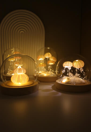 Sea Urchin Shell Night Light Making Class
