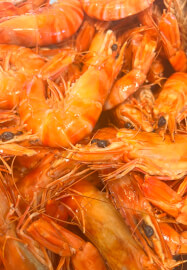 Seafood Cooking Class