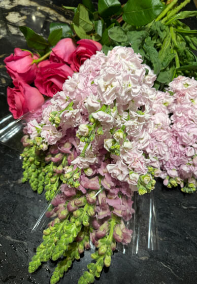 Seasonal Flower Box Workshop