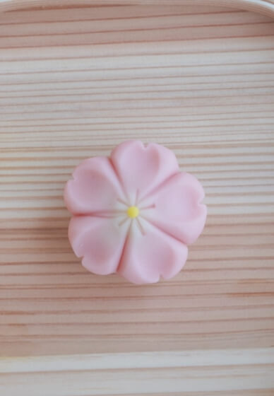 Seasonal Traditional Japanese Sweets Wagashi Workshop