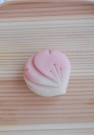 Seasonal Traditional Japanese Sweets Wagashi Workshop