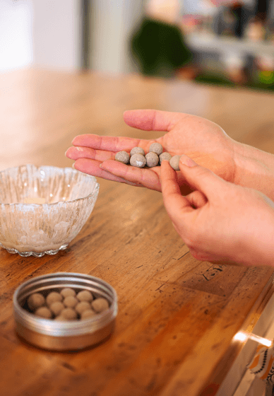 Seed Ball Making Class