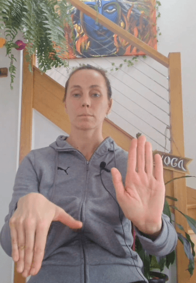 Senior and NDIS Rehabilitation and Yoga System - 27 Modules