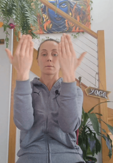 Senior and NDIS Rehabilitation and Yoga System - 27 Modules