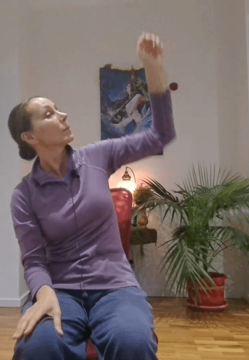 Senior and NDIS Rehabilitation and Yoga System - 27 Modules