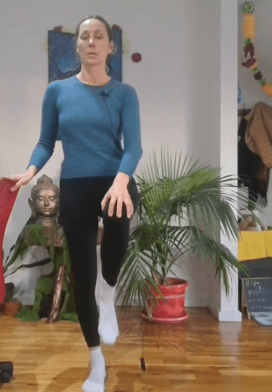 Senior and NDIS Rehabilitation and Yoga System - 27 Modules
