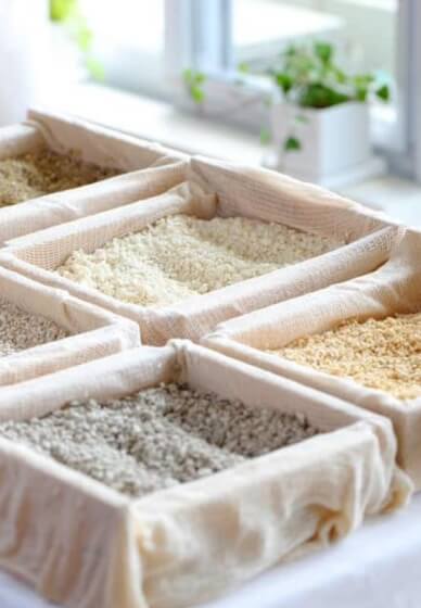 Shio Koji Making Workshop