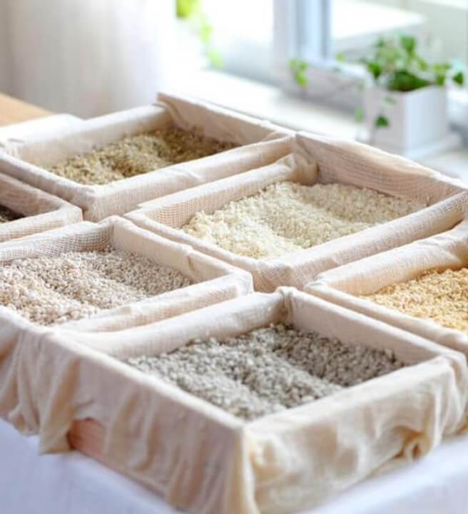 Shio Koji Making Workshop