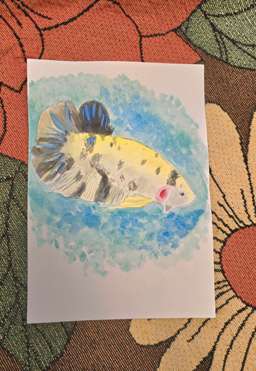 Siamese Fish Watercolour Workshop