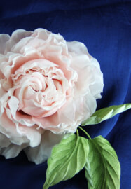 Silk Rose Workshop in Japanese Flower-Making Techniques